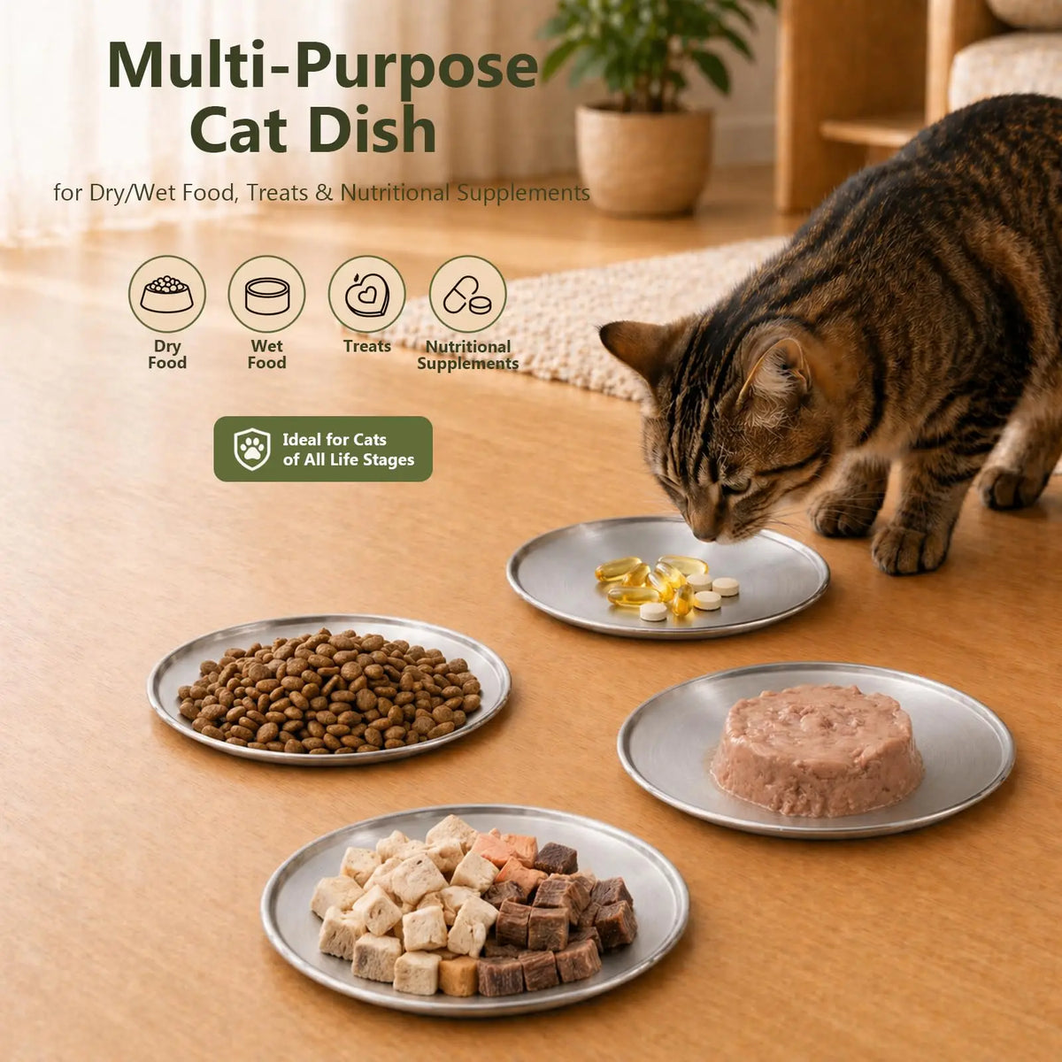 Whisker Friendly Stainless Steel Shallow Cat Feeding Bowls