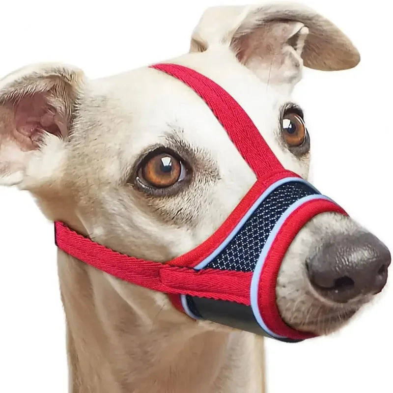 Breathable And Adjustable Dog Muzzle For Safe Daily Use