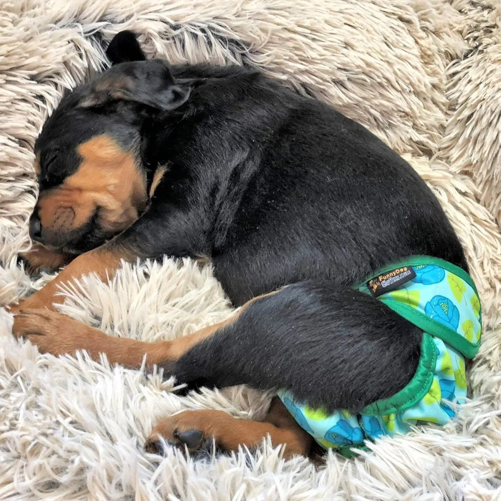 Female Dog Diapers With Absorbent Pads For Waterproof Leakproof Protection