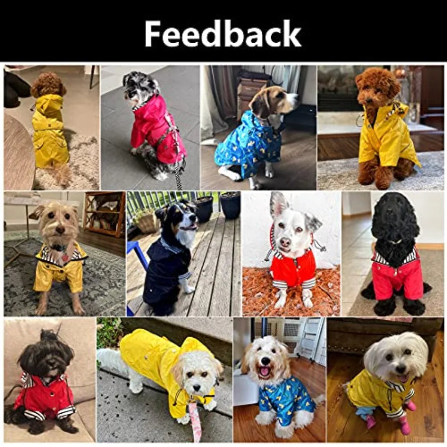 Dog Raincoat With Reflective Buttons And Removable Hood