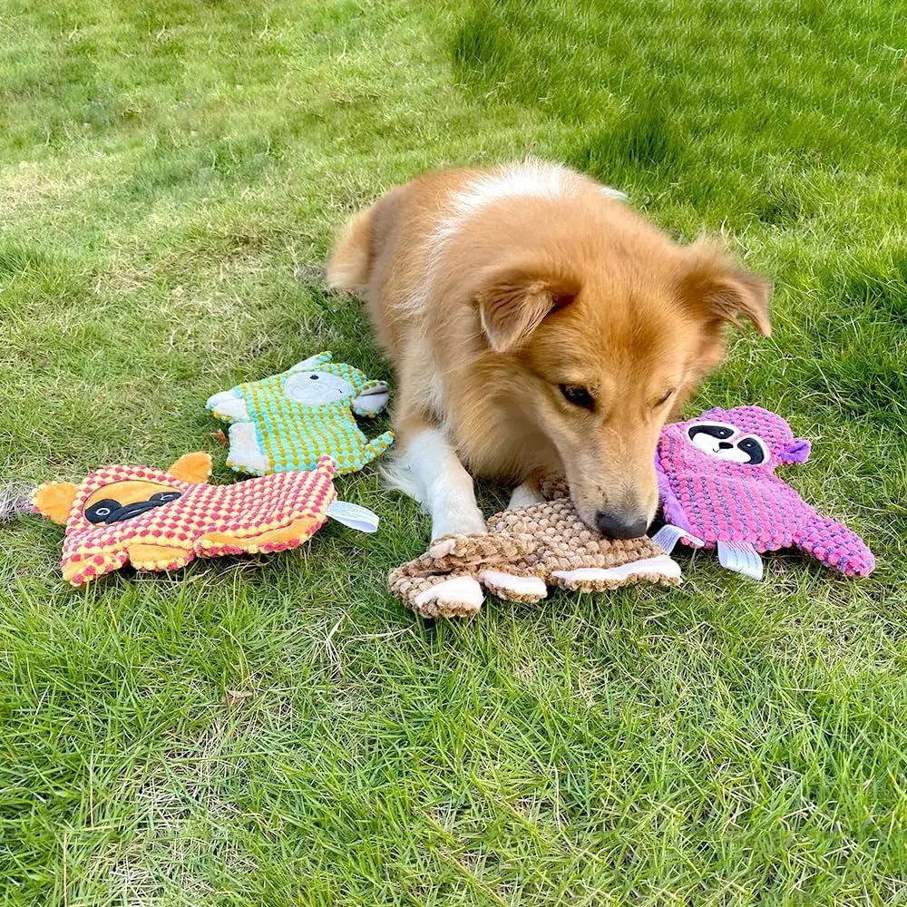 No Stuffing Crinkle Squeaker Dog Toy For Small Medium Breeds