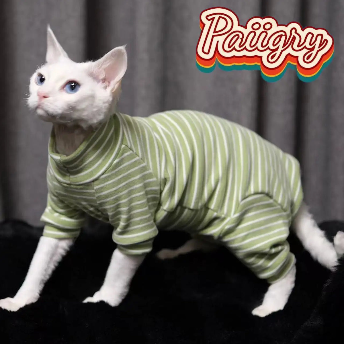 Warm Stretch Four Legged Pet Clothing For Sphinx Cats