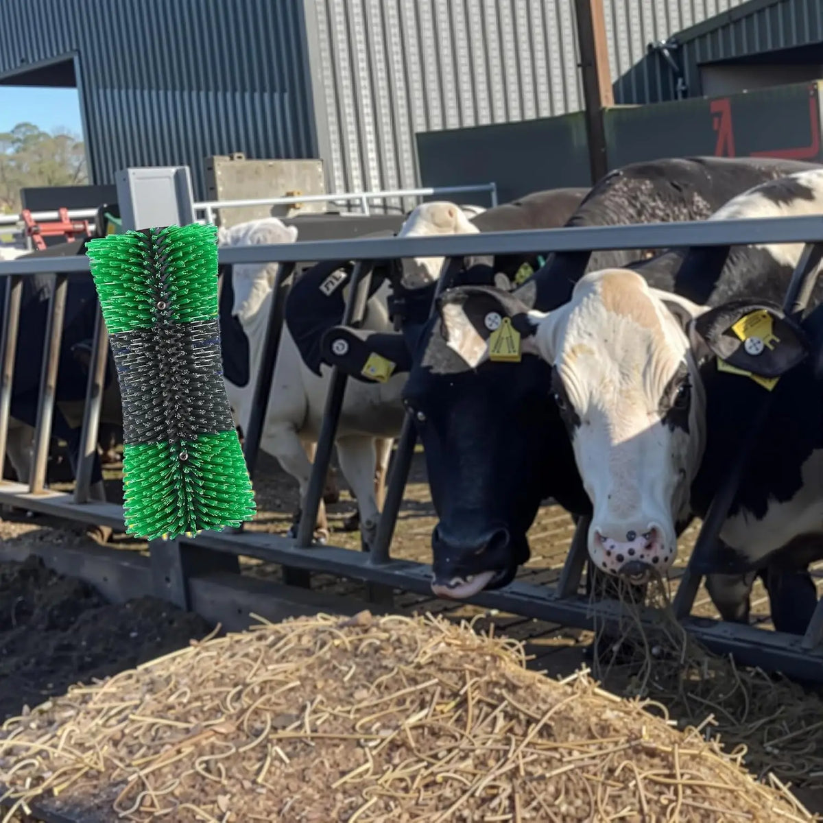 Livestock Grooming Brush for Horses, Cattle, Goats, Sheep and Pigs