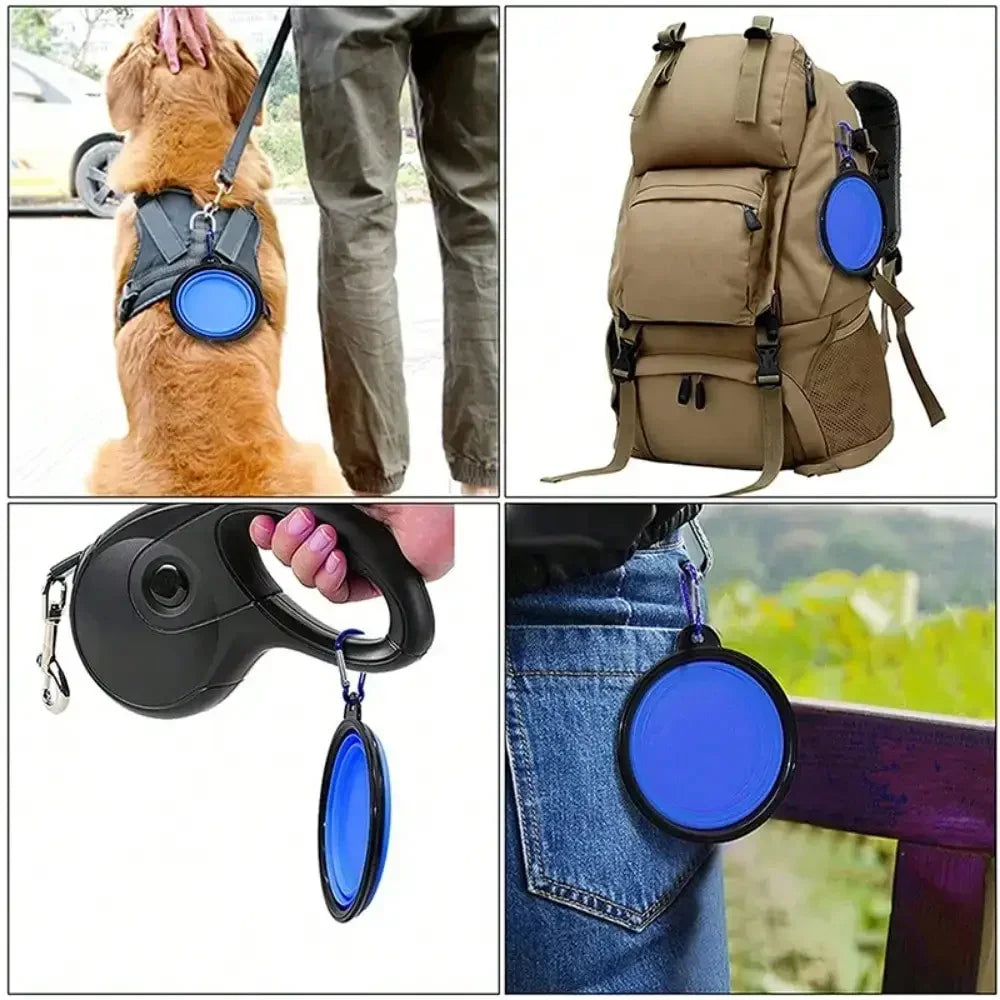 Folding Portable Dog And Cat Feeder Bowl With Carabiner Bottle