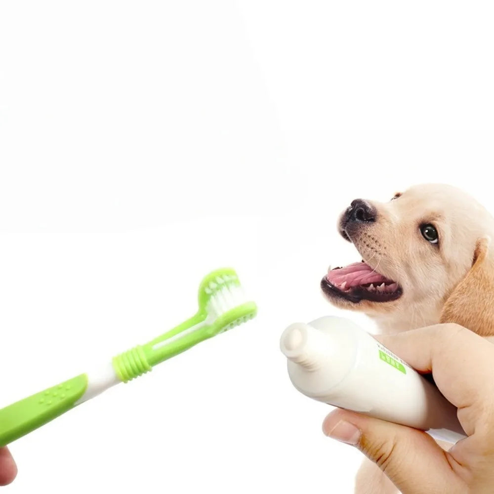Three Sided Plastic Pet Toothbrush For Tartar Plaque Removal