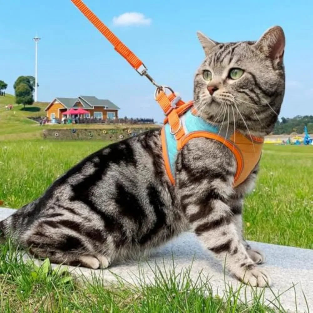 Adjustable Cat Harness And Leash Set With Breathable Suede Vest