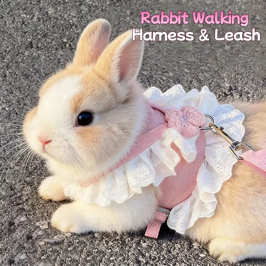 Adjustable Breathable Mesh Rabbit Walking Harness Vest