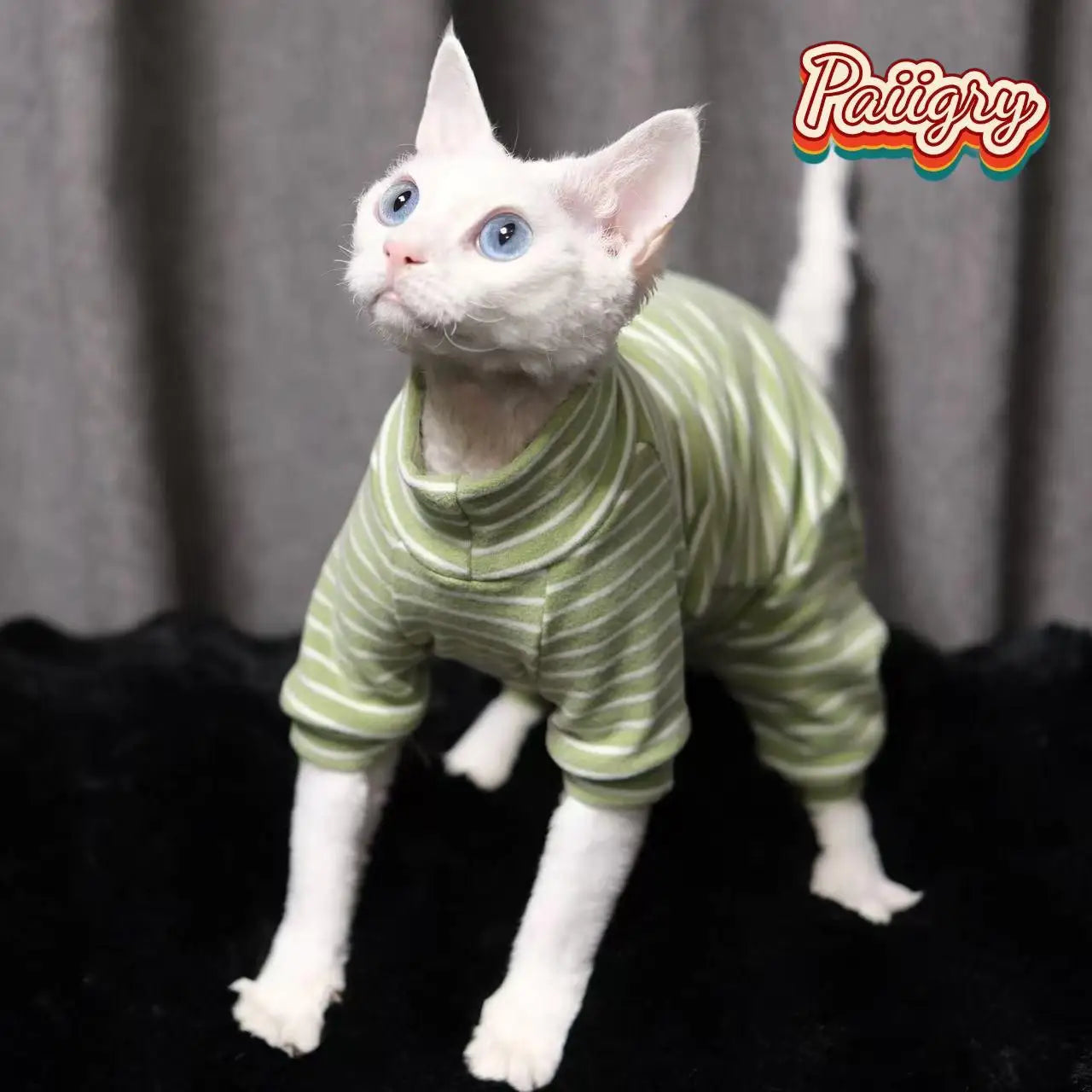 Warm Stretch Four Legged Pet Clothing For Sphinx Cats