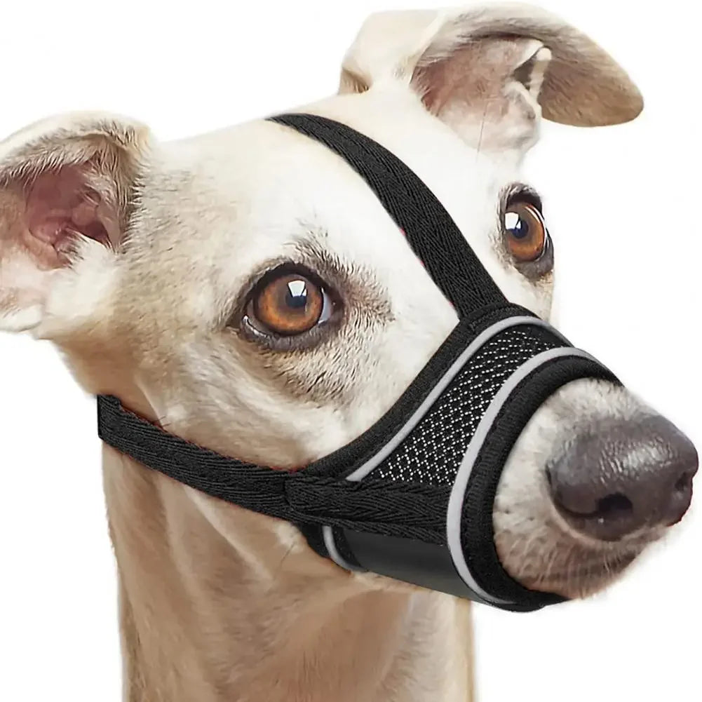 Breathable And Adjustable Dog Muzzle For Safe Daily Use