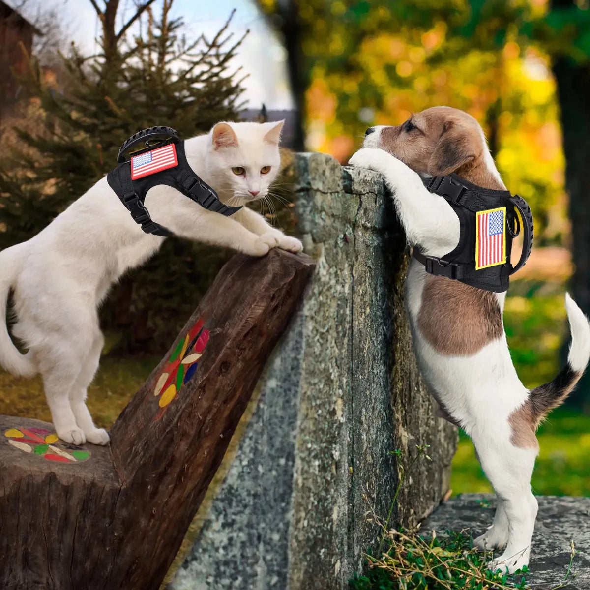 Adjustable Tactical Nylon Harness Leash Set For Small Pets