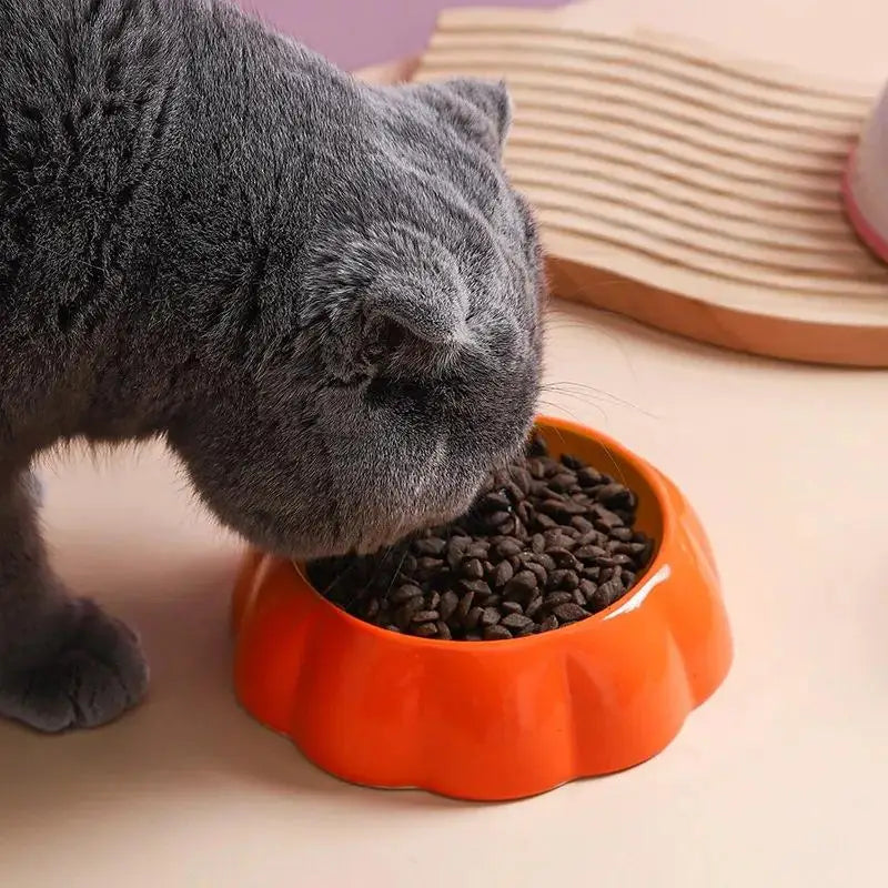 Fruit Shaped Ceramic Cat And Dog Slow Feeder Bowl