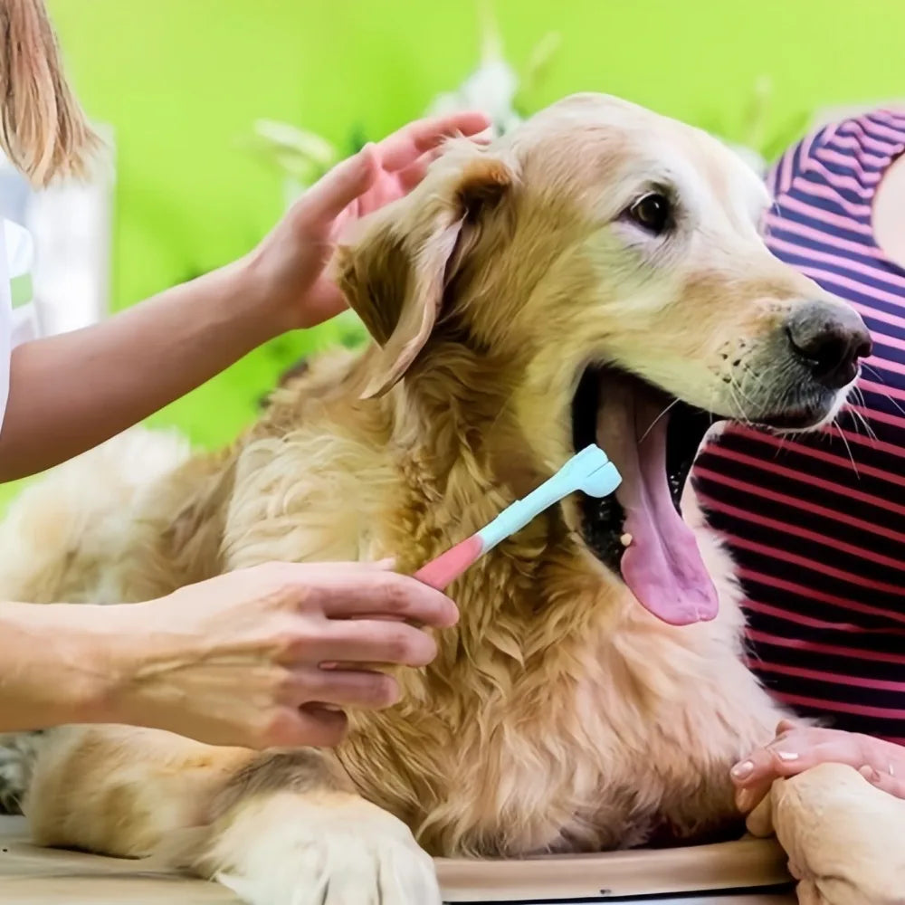 Three Sided Plastic Pet Toothbrush For Tartar Plaque Removal