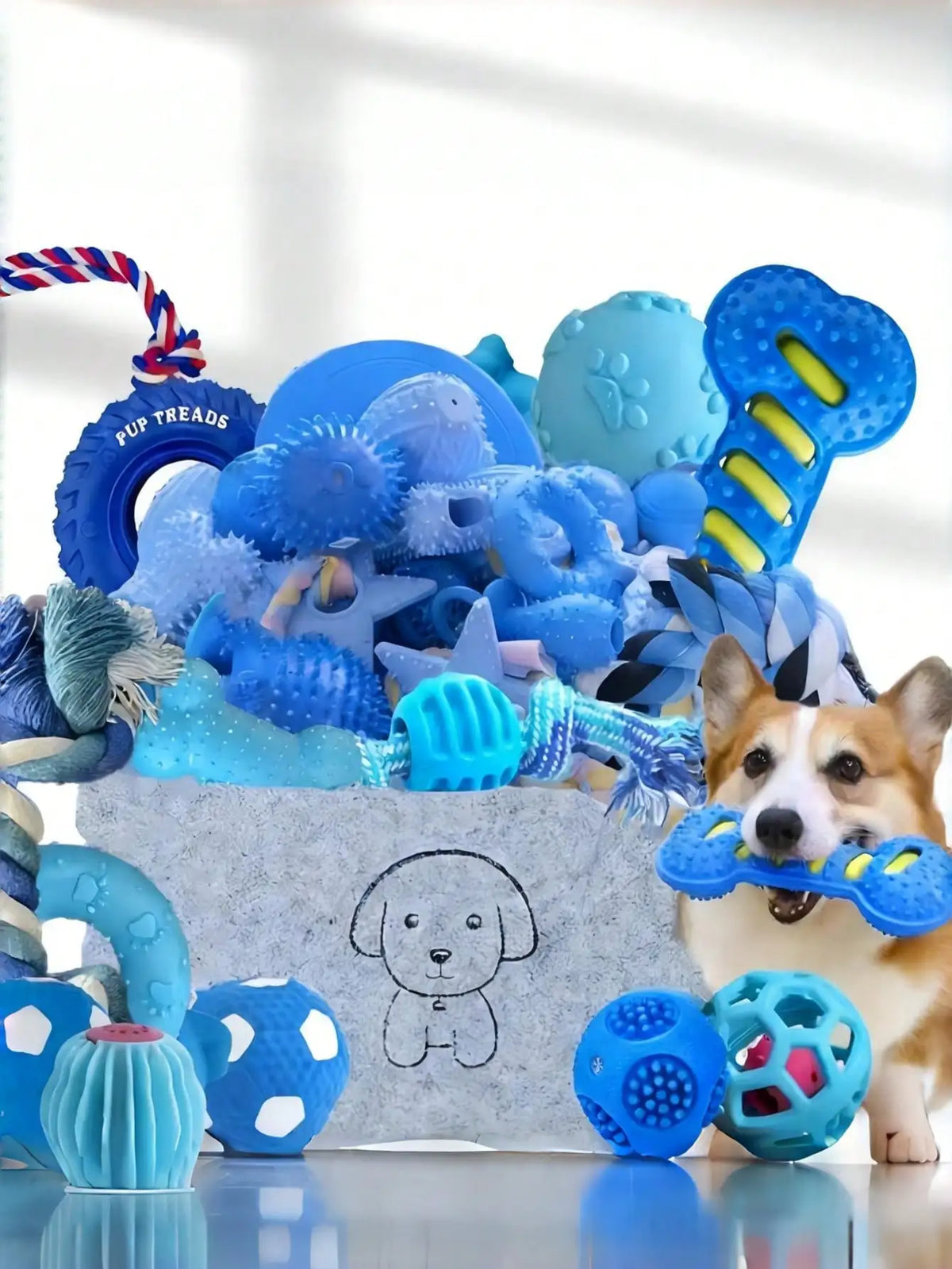 Professional Interactive Fleece Dog Chew And Rope Toy Set