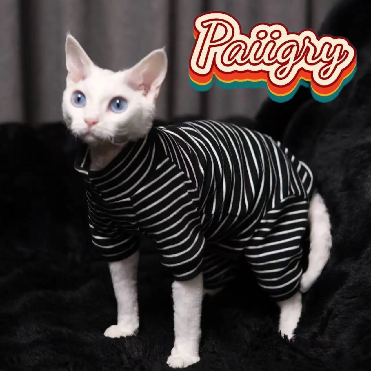 Warm Stretch Four Legged Pet Clothing For Sphinx Cats