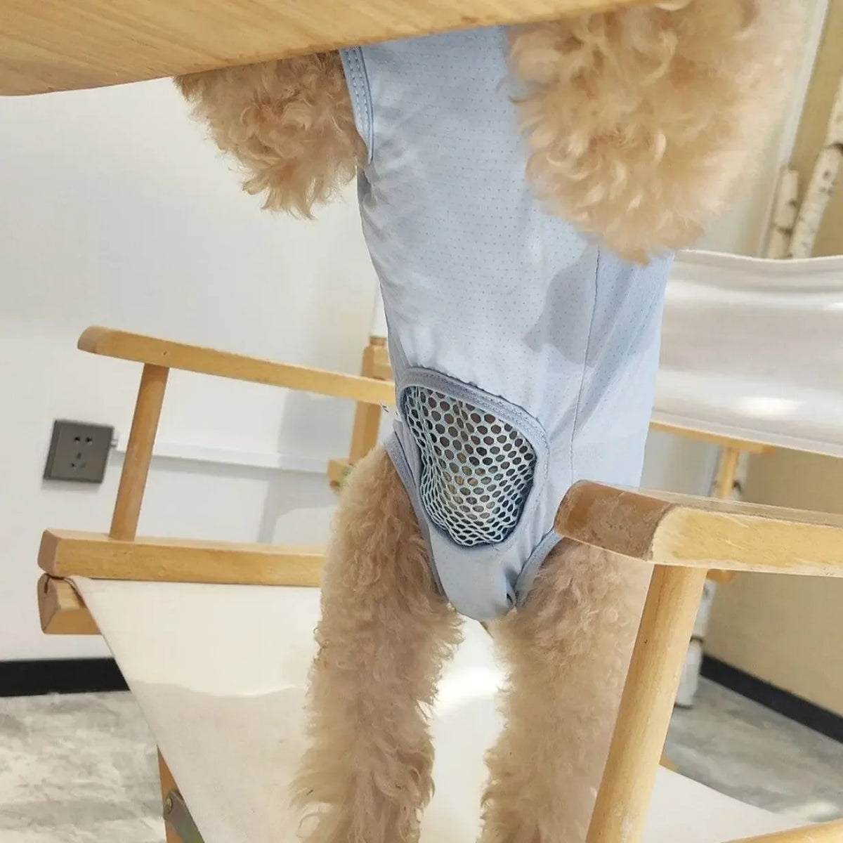 Breathable Dog Recovery Suit For Post Surgery Anti Licking Protection