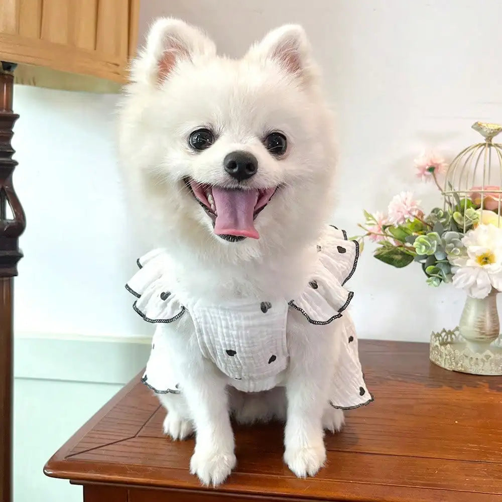 Adorable Love Themed Cloth Dresses For Dogs And Cats