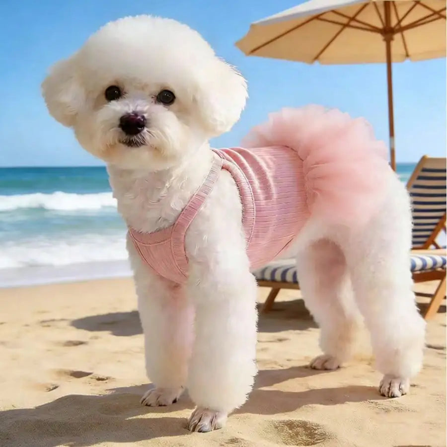 Elegant Ballet Tulle Princess Dress For Small Dogs Cats Outfit