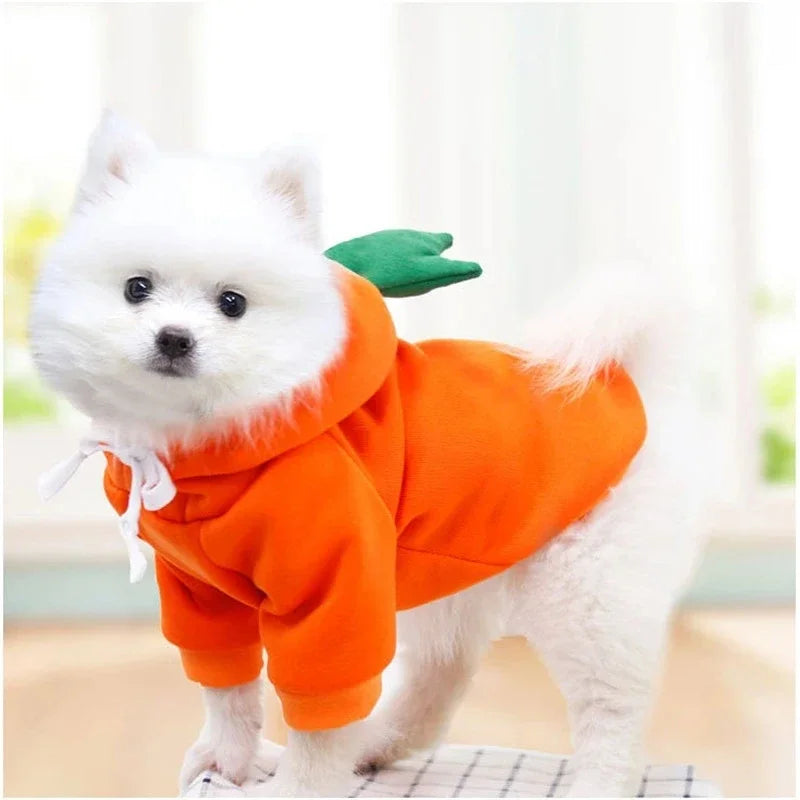 Wangmeow Fruit Dog Hoodie Warm Fleece Clothes for Small Dogs