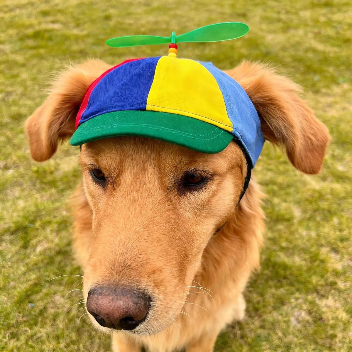 Novelty Helicopter Propeller Pet Hat For Cats And Dogs
