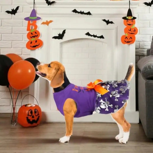 Stylish Dog Halloween Witch Costume For Happy Pets