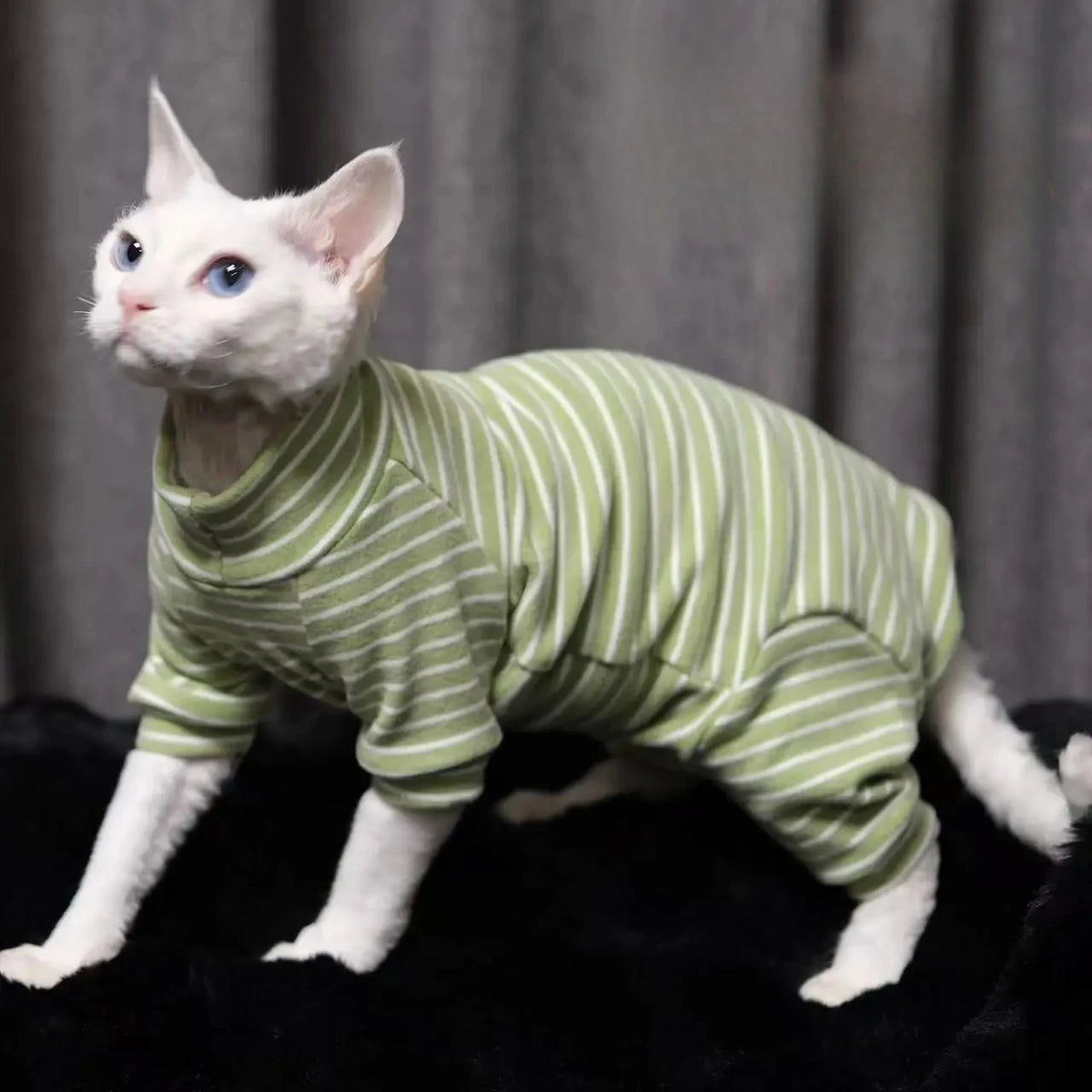 Warm Stretch Four Legged Pet Clothing For Sphinx Cats