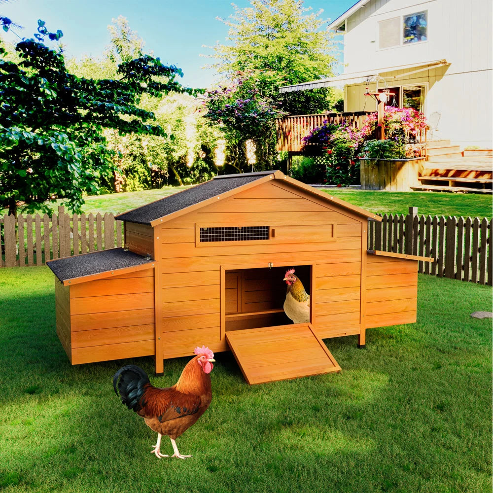 Outdoor Wooden Chicken Coop With Dual Nesting Boxes And Secure Door