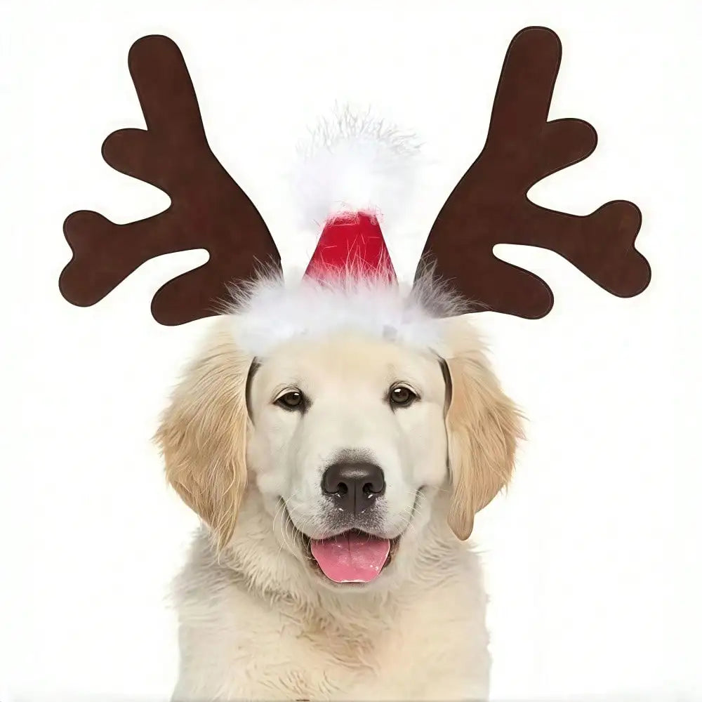 Halloween Ghost Pet Cape Reindeer Antlers Headband Costume Set