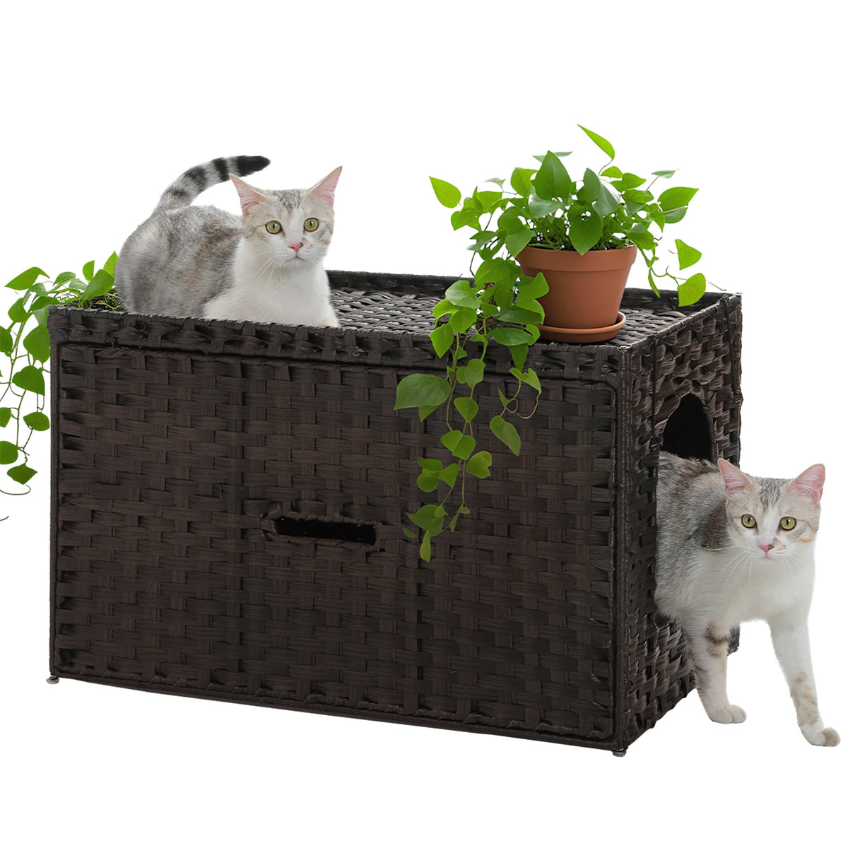 Pequulti Rattan Cat Litter Box Enclosure With Flip Top Design