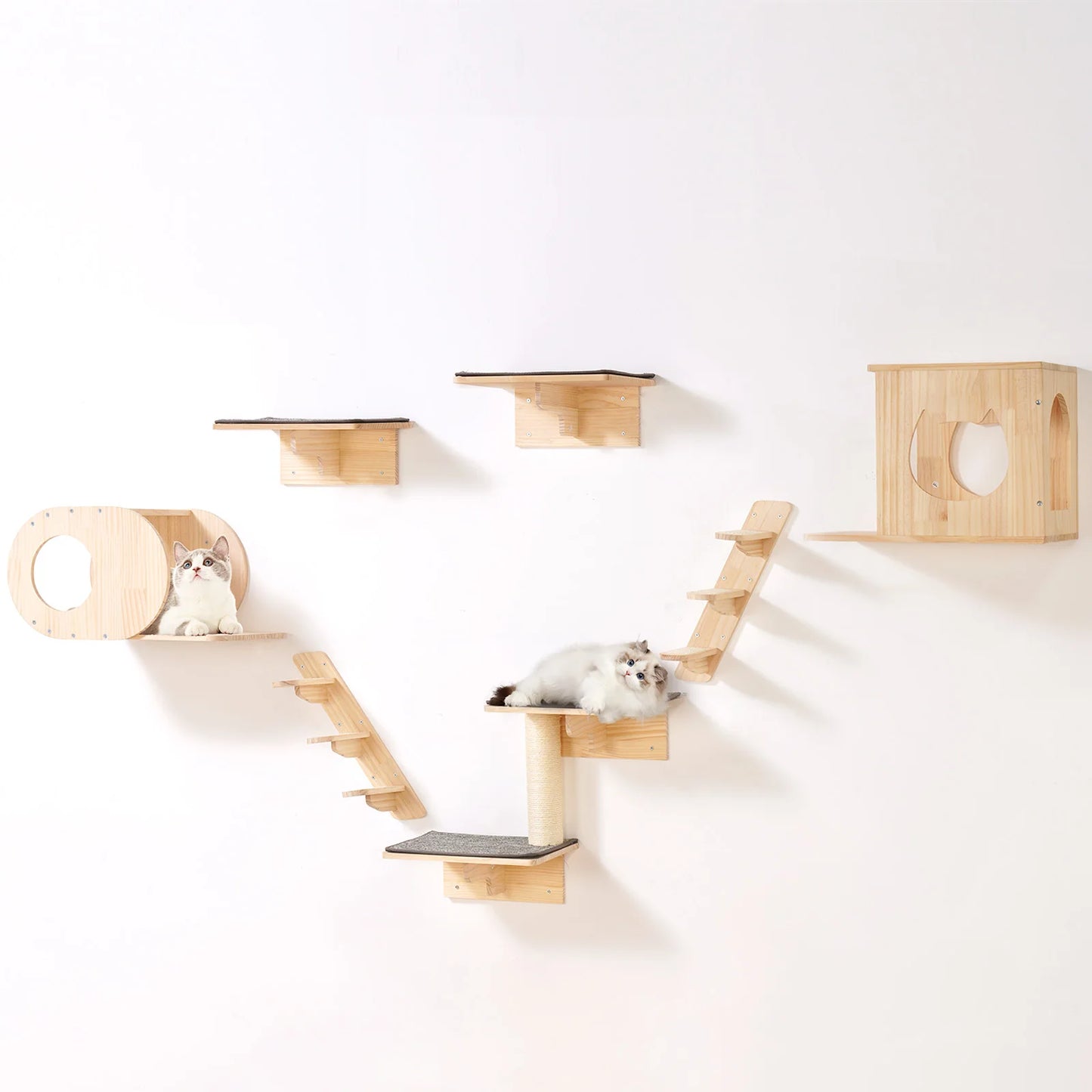 SucceBuy Wall Mounted Double Tier Cat Shelves with Hammocks