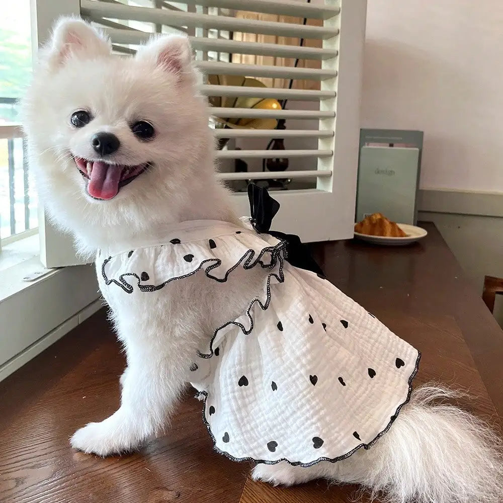 Adorable Love Themed Cloth Dresses For Dogs And Cats