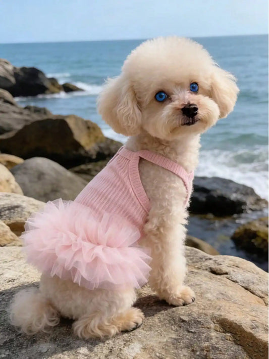 Elegant Ballet Tulle Princess Dress For Small Dogs Cats Outfit