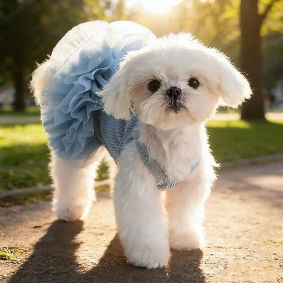 Elegant Ballet Tulle Princess Dress For Small Dogs Cats Outfit