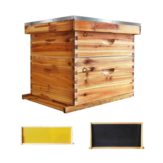 HiMISS 10 Frame Beehive Kit With Wax Coated Foundations