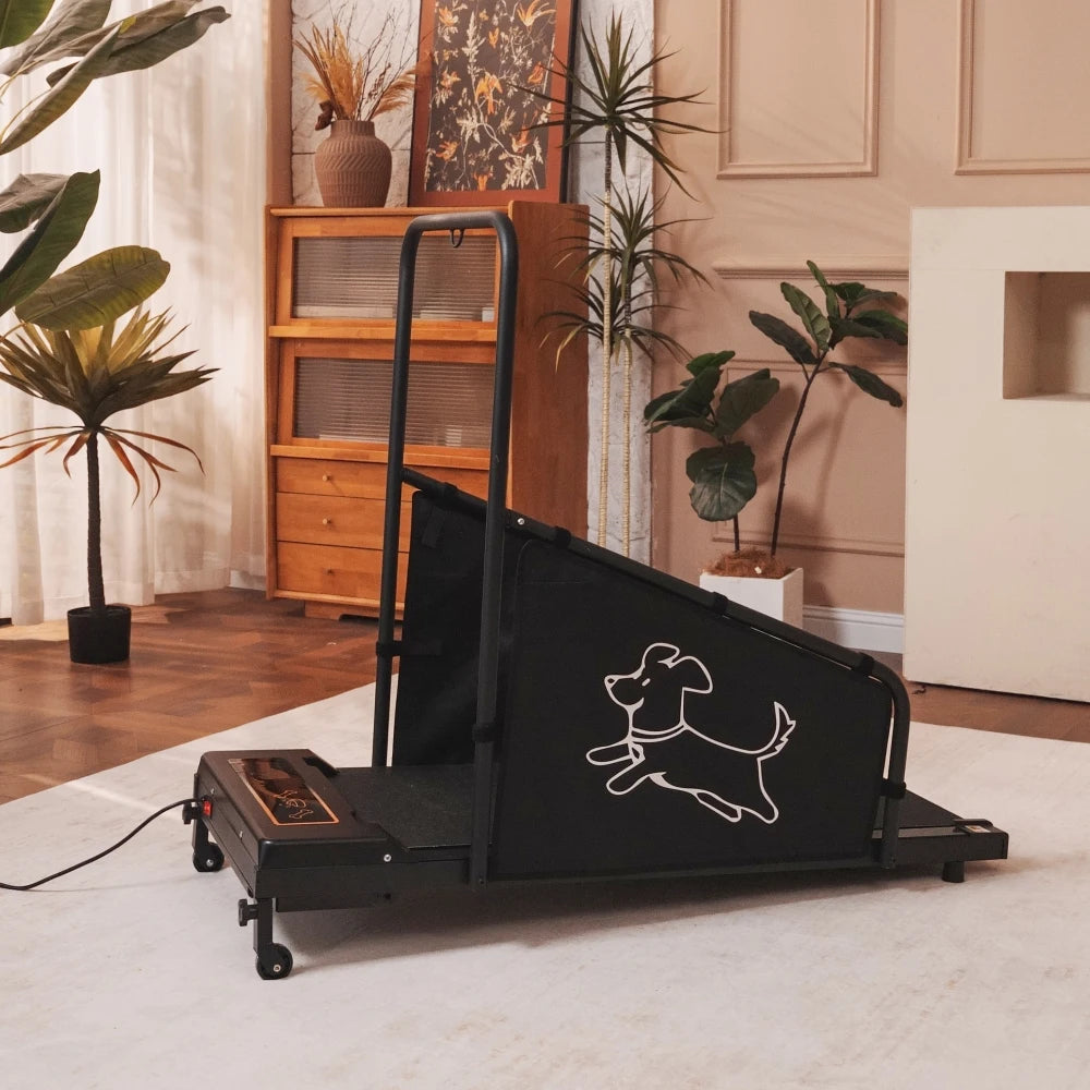 Indoor Dog Treadmill Running Exercise Fitness Machine For Pets