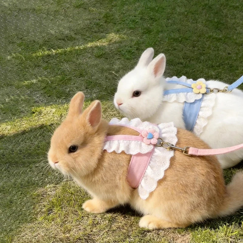 Adjustable Breathable Mesh Rabbit Walking Harness Vest