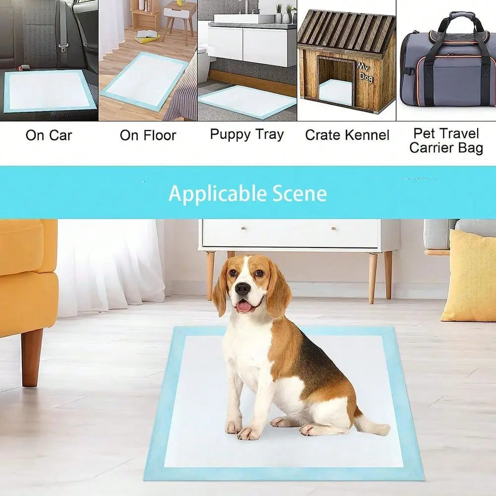Super Absorbent Bamboo Charcoal Pet Diaper And Deodorizing Pad
