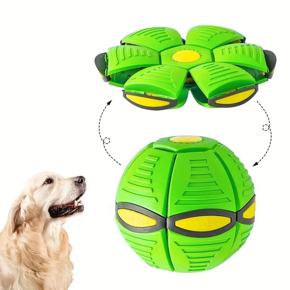Durable Nylon Saucer Bouncing Ball Dog Toy For Outdoor Fetch