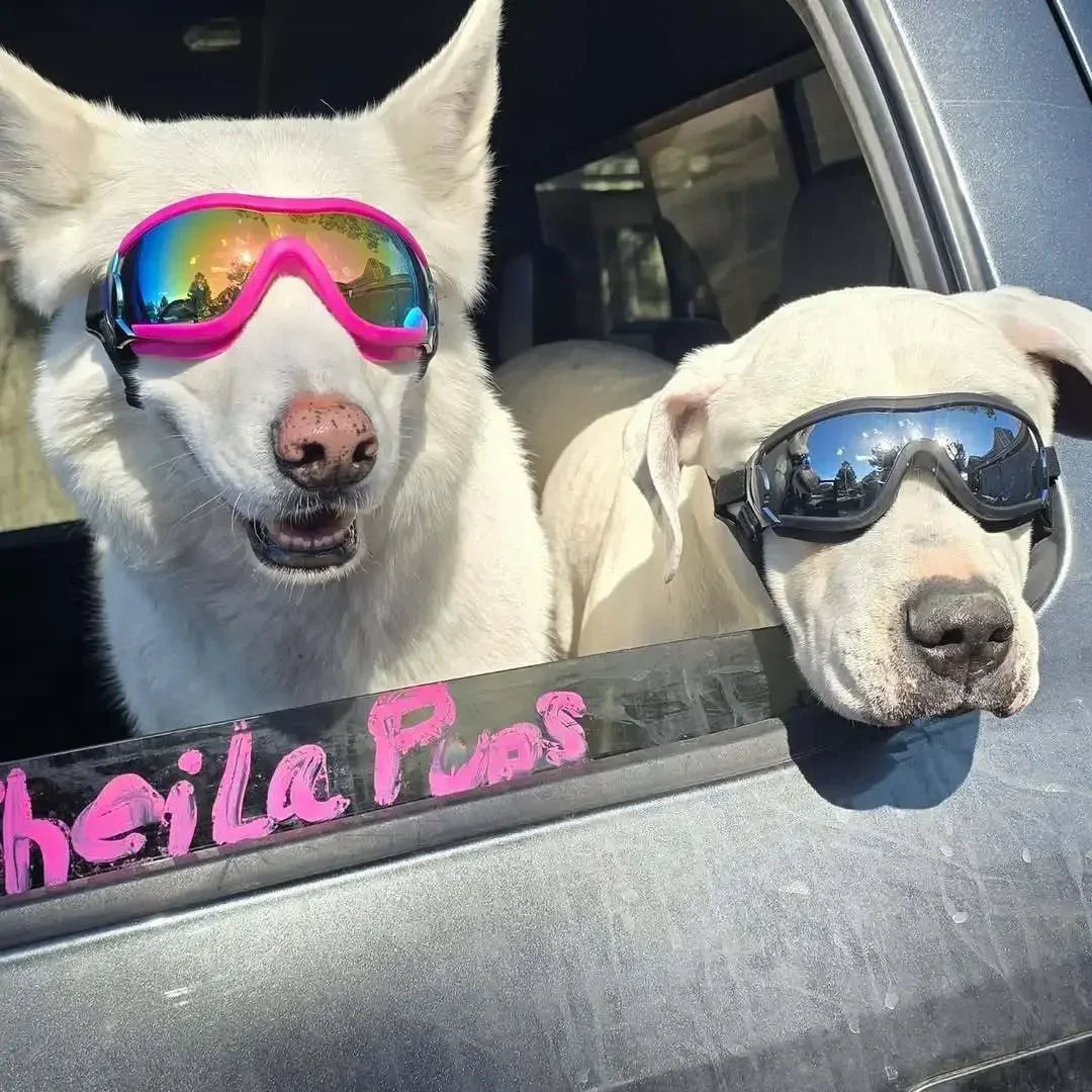 Anti UV Dog Sunglasses Breathable Windproof Waterproof Pet Goggles