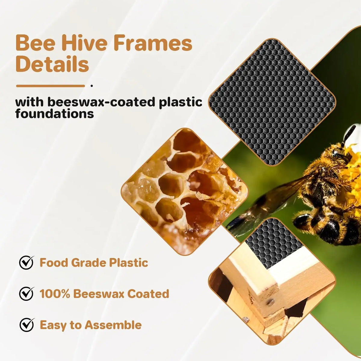 HiMISS 10 Frame Beehive Kit With Wax Coated Foundations