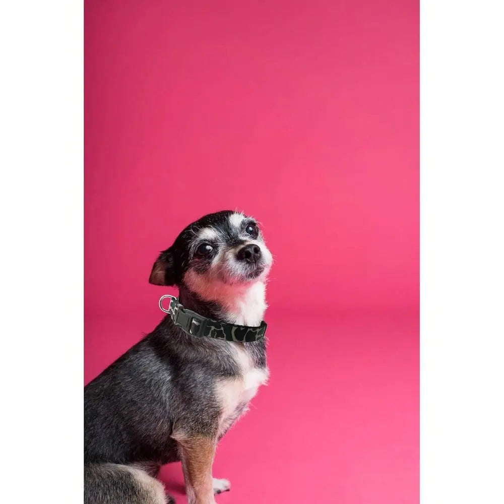 Soft Adjustable Camouflage Dog Collar With Quick Release Buckle