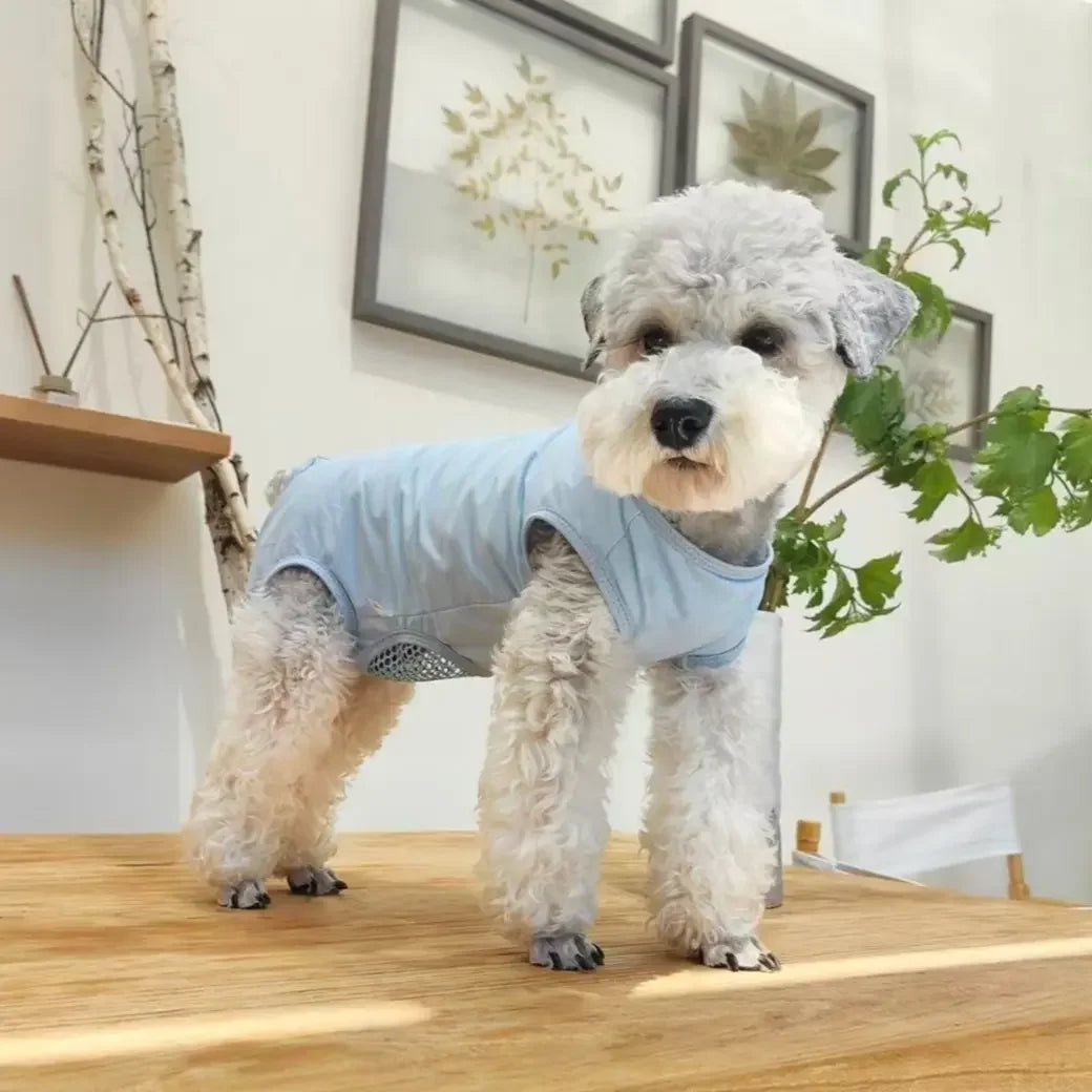 Breathable Dog Recovery Suit For Post Surgery Anti Licking Protection
