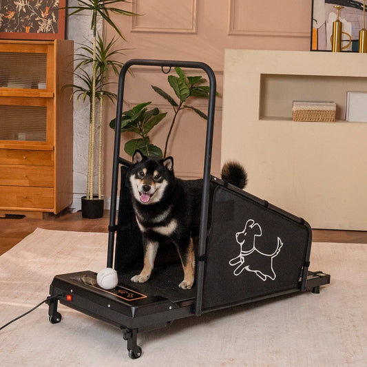 Indoor Dog Treadmill Running Exercise Fitness Machine For Pets