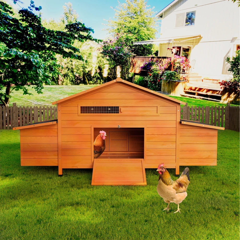 Outdoor Wooden Chicken Coop With Dual Nesting Boxes And Secure Door