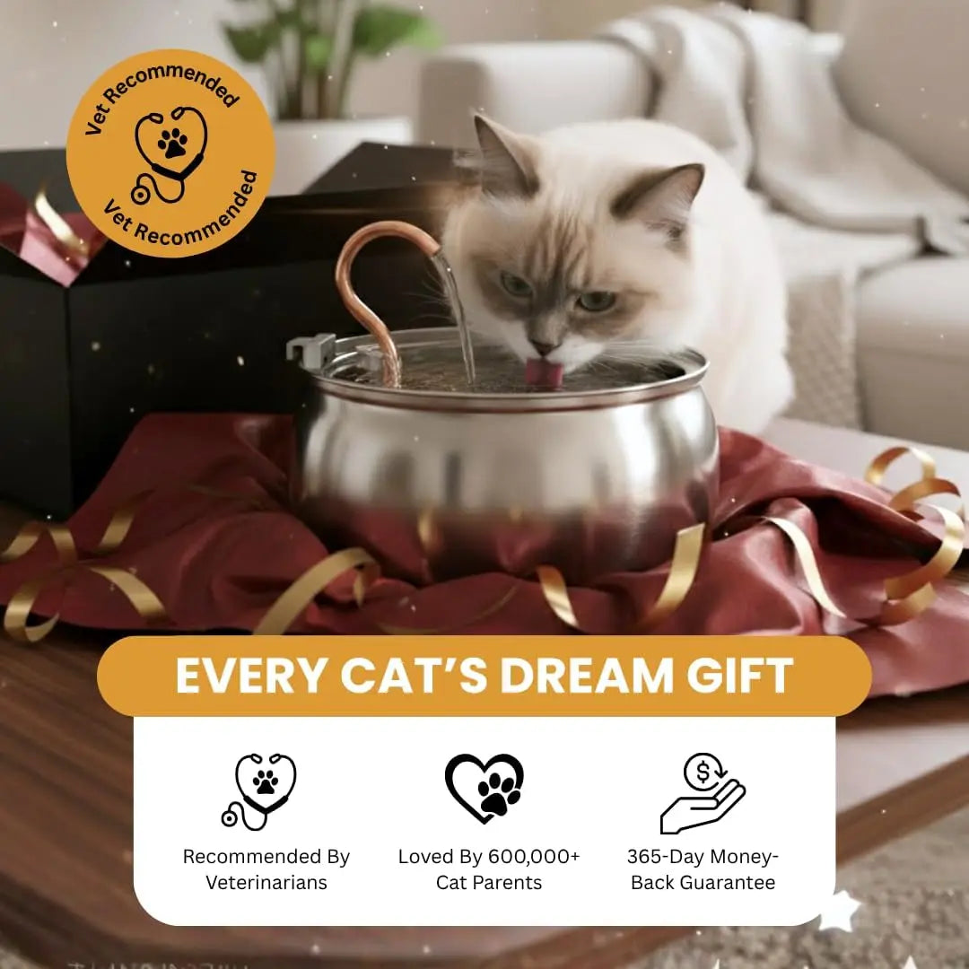 KittySpout Stainless Steel Wireless Cat Water Fountain