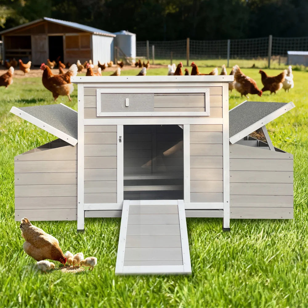 Wooden Outdoor Chicken Coop With Dual Nesting Boxes Moisture Shield