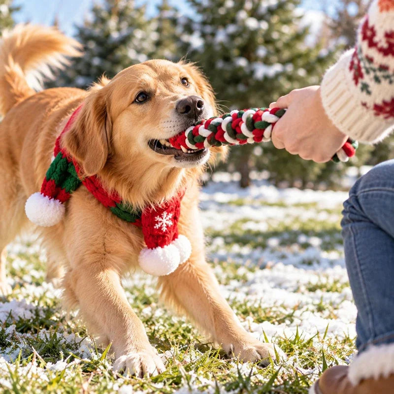 Christmas Dog Cotton Rope Knot Toy for Chewing and Play