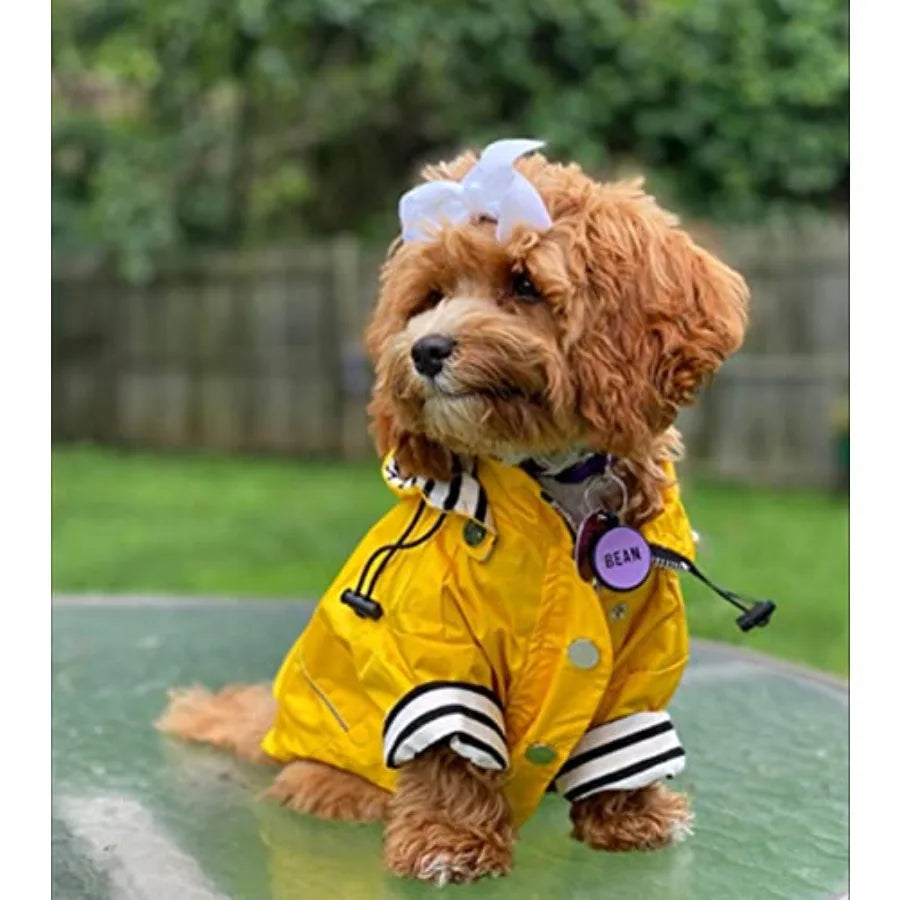 Dog Raincoat With Reflective Buttons And Removable Hood
