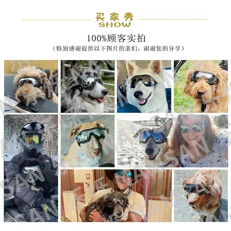 Adjustable Anti UV Windproof Dog Goggles with Dual Straps
