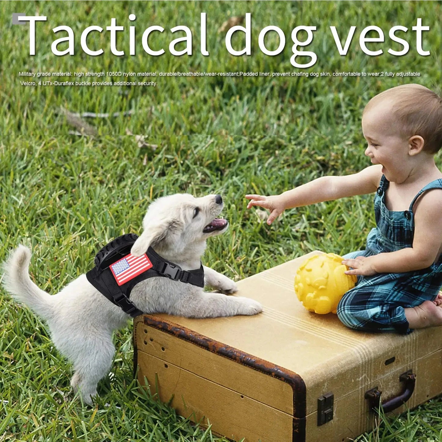 Adjustable Tactical Dog And Cat Harness Leash Walking Set