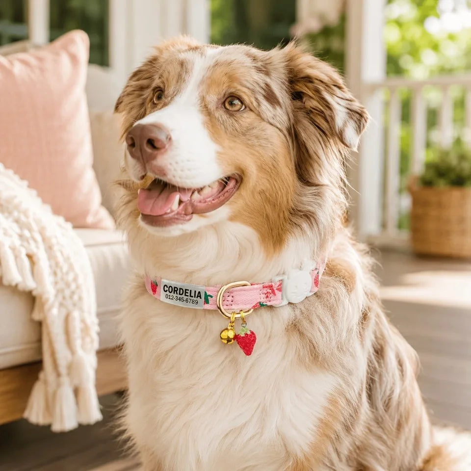 Personalized Engravable Dog Collar With Strawberry Heart Pattern ID Tag
